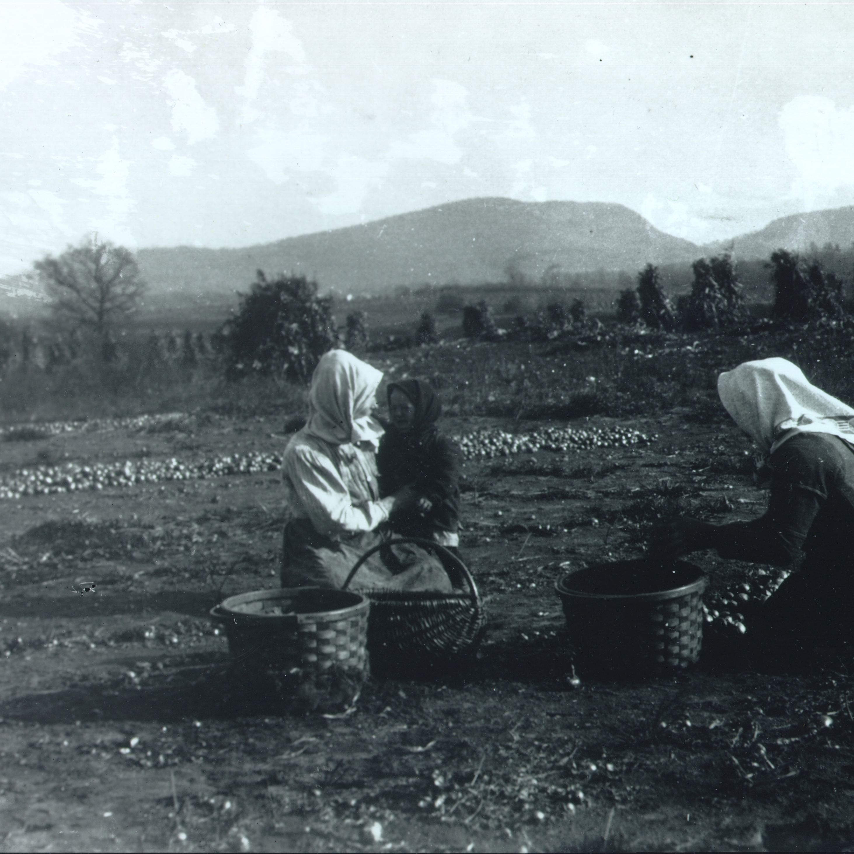 Newcomers: 1880–1920 – American Centuries